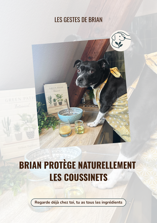 eBook : Brian protège naturellement les coussinets